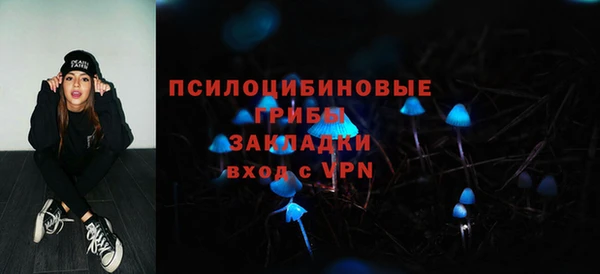 гидропоника Арсеньев