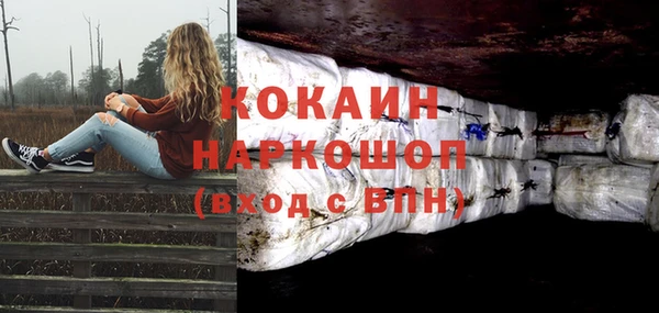 ГАЛЛЮЦИНОГЕННЫЕ ГРИБЫ Пересвет